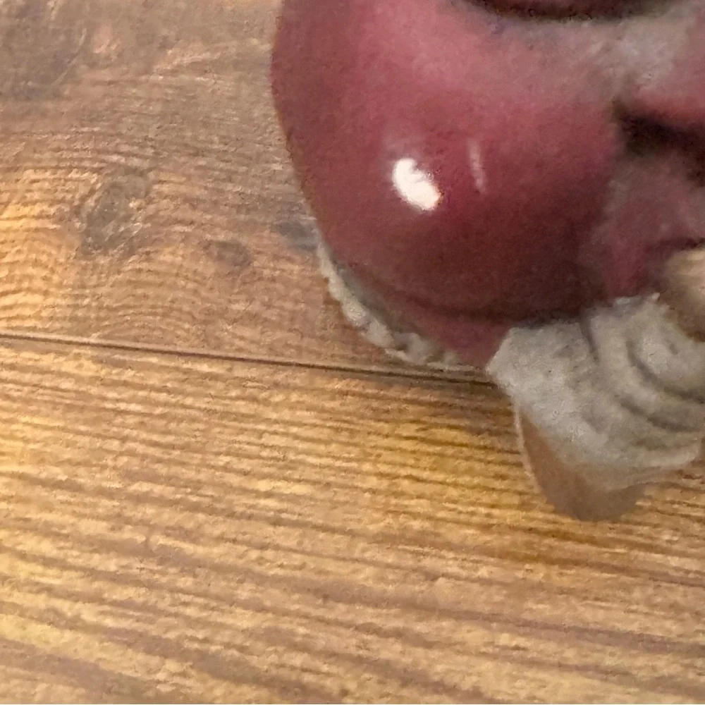 Vintage California Raisins Ceramic Figurines Set Of‎ 4 1980s Advertising Display